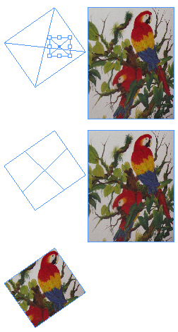 PasteWithoutTransform