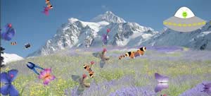 Butterfly Easter Egg