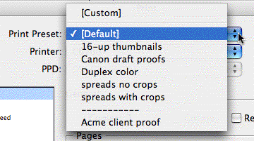 presets-after-dropdown.gif