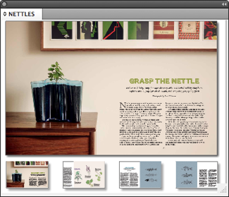 makePanelB.png nettles panel