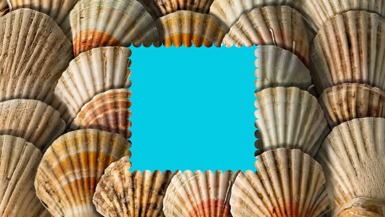 InDesign scalloped edges