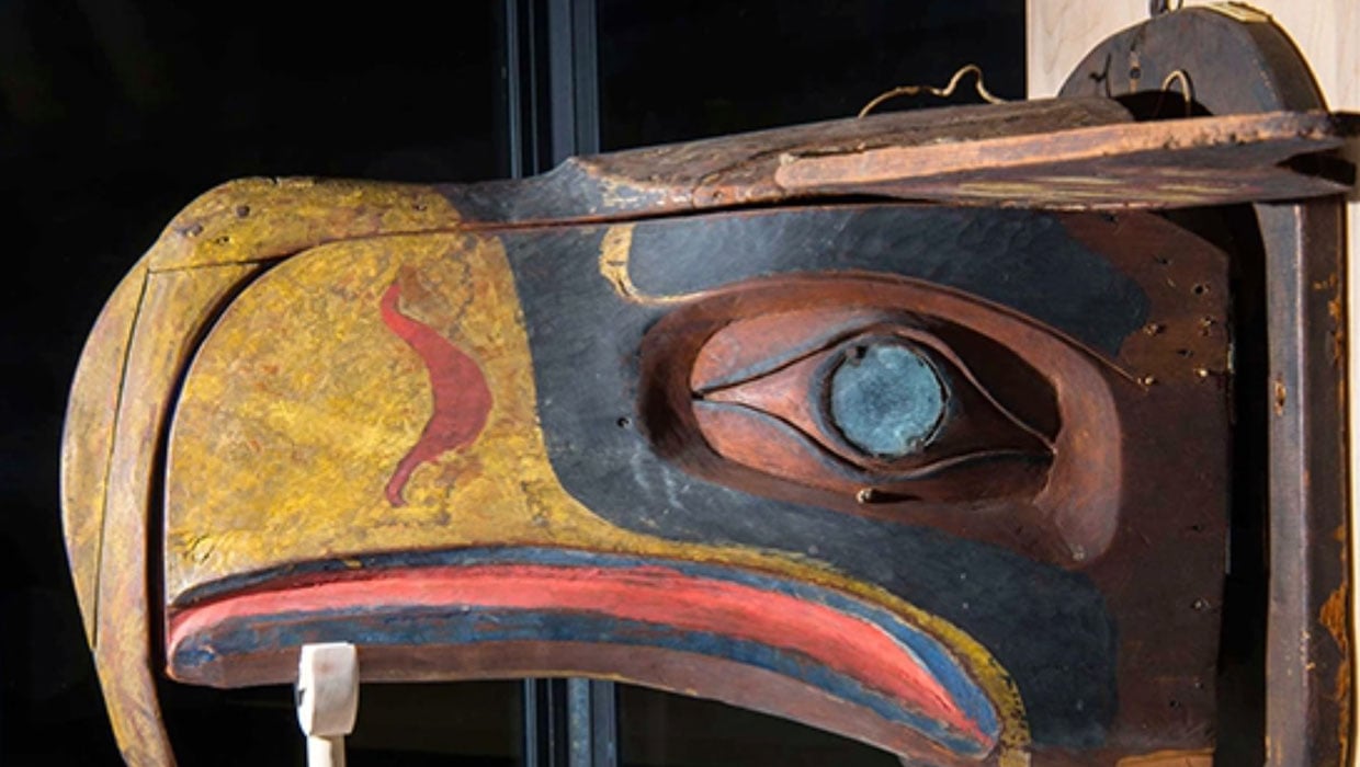 Seattle Seahawks logo mask inspiration