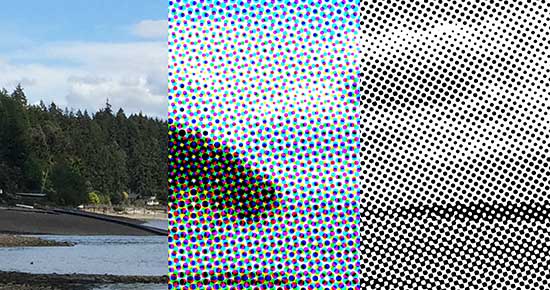 Three-part image shows one photo as continuous tone, color halftone, and grayscale halftone