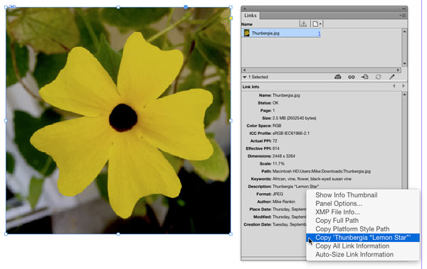 20150917-copylinkinfo1