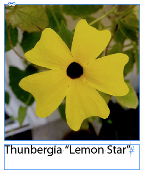 20150917-copylinkinfo4