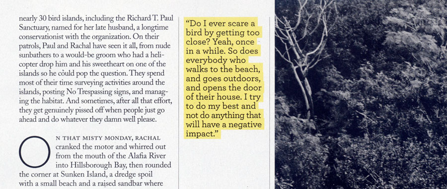 La surbrillance jaune fait sauter cette citation qui est placée entre les éléments noirs et blancs de la page. Magazine Audubon.