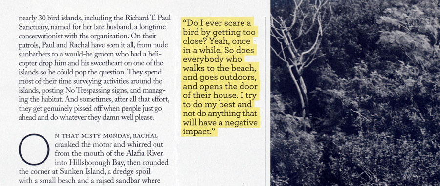 El resaltado amarillo hace que esta comilla de extracción que se coloca entre los elementos en blanco y negro salte de la página. Revista Audubon.