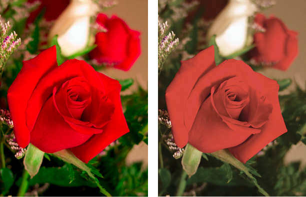 Figure 3: The vibrancy of an RGB image (left) is substantially subdued when the image is converted to CMYK (right). Don’t throw that gorgeous color away prematurely—talk to your printer about keeping your images in RGB. Their digital press may be able to print the fuller range of tones available in RGB.