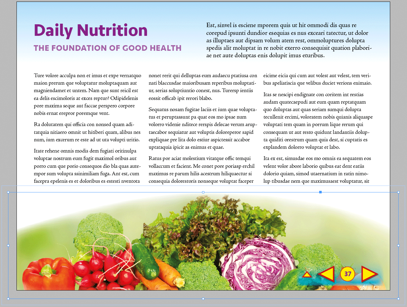 Figure 14: After purchasing the image license, the high-resolution version looks great and the watermark is gone.