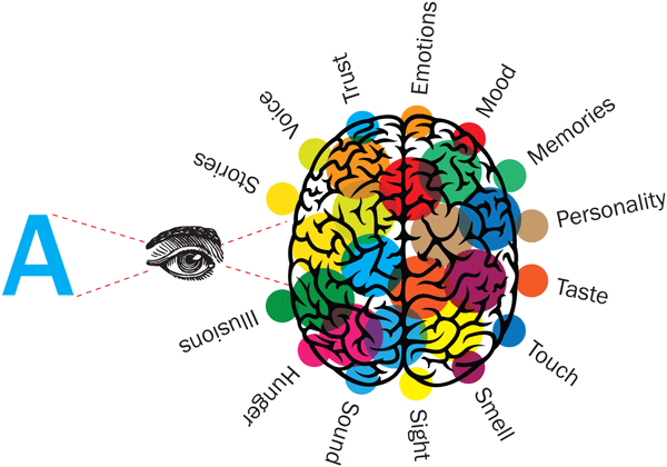 why fonts matter emotions memories senses