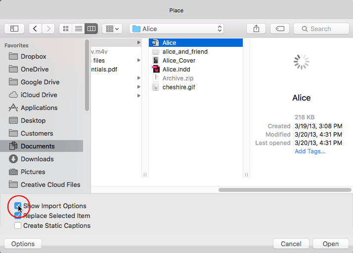 Figure 1: Holding down the Shift key while you press Open is a nice alternative to selecting Show Import Options in the Place dialog box.