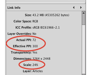 InDesign 24% scale makes low-res image high-res
