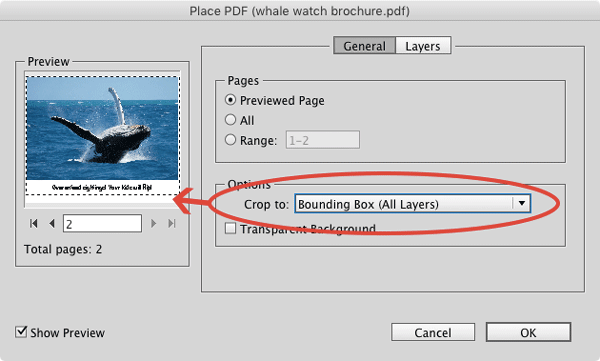 perplexing PDF contest solution