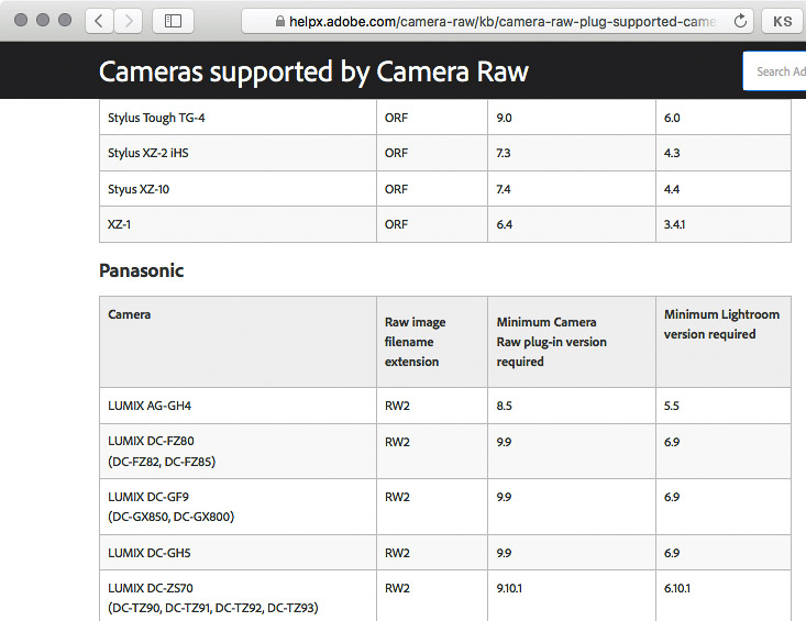 capturing reality adobe dng format