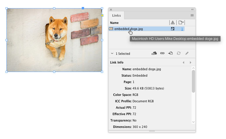 embedded doge in InDesign