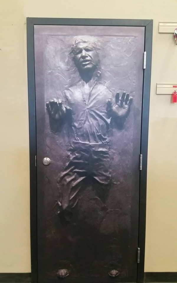 Han Solo carbonite vinyl-wrapped closet door 