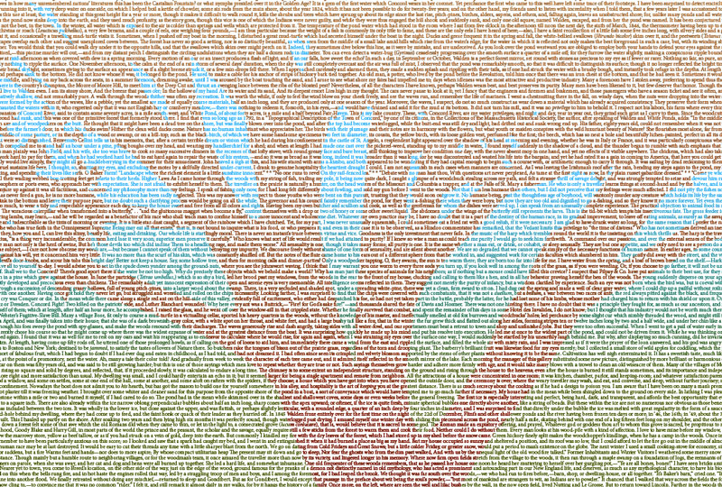 InDesign tiny type poster Walden