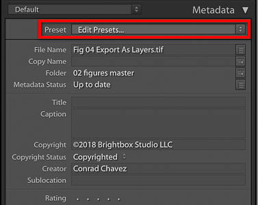 Editing a metadata template in Lightroom