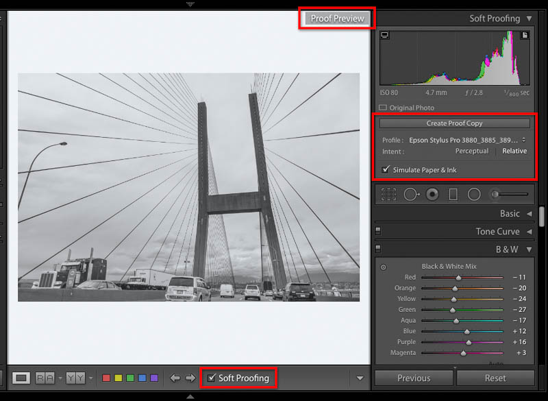 Lightroom soft proofing mode showing a white background