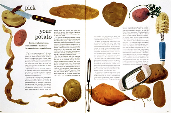 Magazine spread titled "pick your potato" with drawings of potatoes and kitchen implements