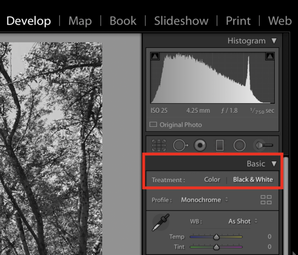 The Black and White button highlighted in Lightroom Classic