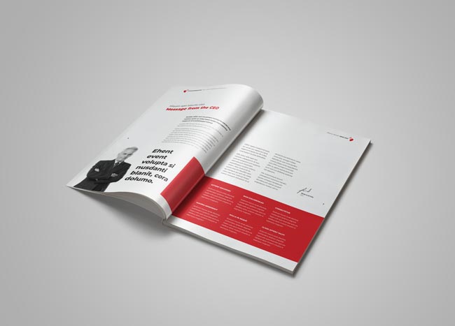 InDesign annual report template spread