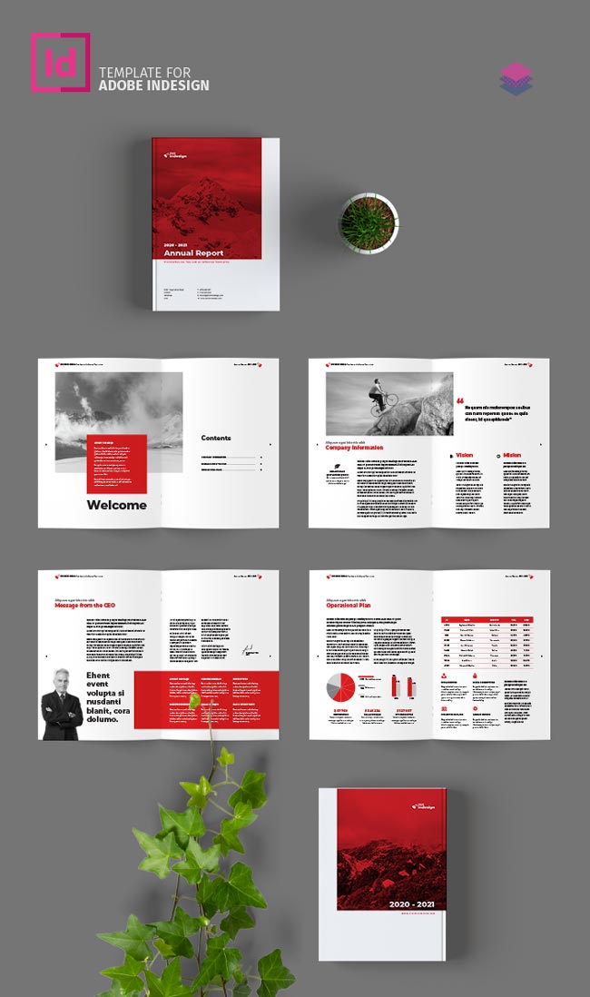 InDesign annual report template
