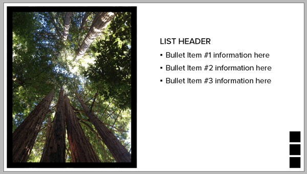 InDesign presentation template list header with photo