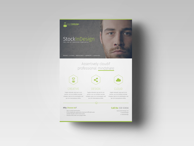 InDesign corporate flyer template