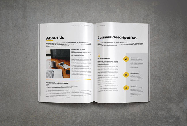 Company brochure about us business description