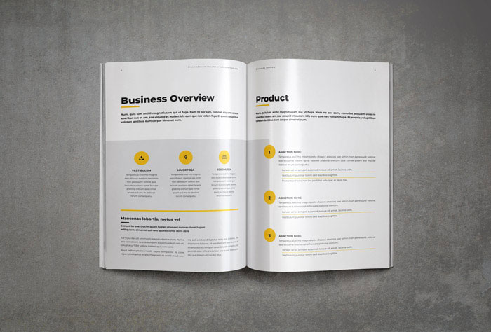 Company brochure business overview product