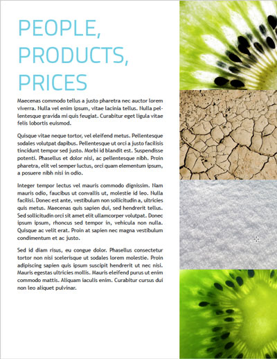 60.220150722-template5 InDesign flexible product catalog internal