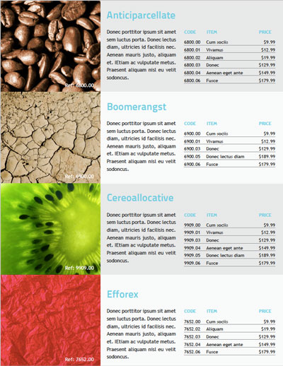 60.320150722-template1 InDesign flexible product catalog product listing