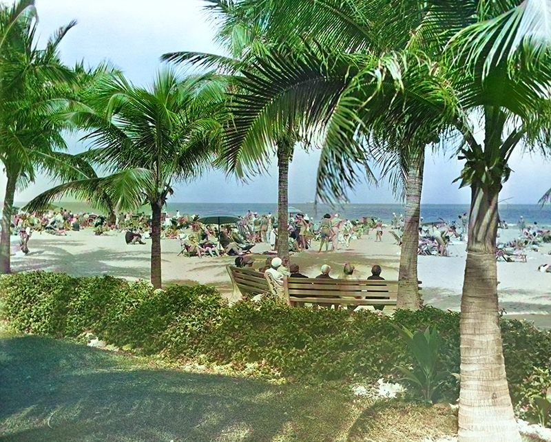 Colorized photo of a beach filled with people and palm trees