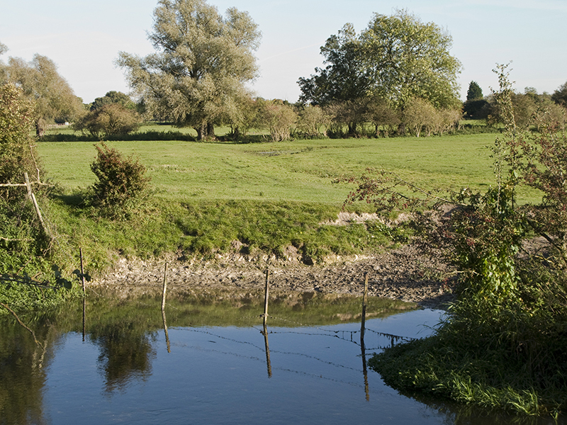 Color photo of a river and field with trees