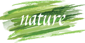 the word "nature" knocked out of brushstroke-pained background of various hues and shades of green