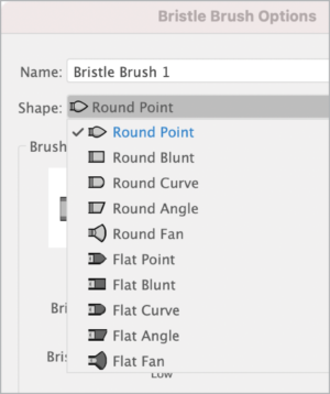 Bristle Brush Options dialog box with drop-down menu for shape and options for Round Point, Round Blunt, Round Curve, Round Angle, Round Fan, Flat Point, Flat Blunt, Flat Curve, Flat Angle, Flat Fan.