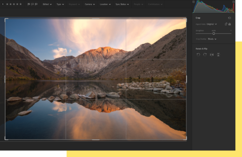 Image shown with white border with thicker lines near corners and horizontal and vertical centers.