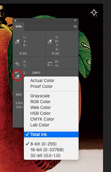 TIC-option-in-Info-panel.jpg TIC option in Info panel