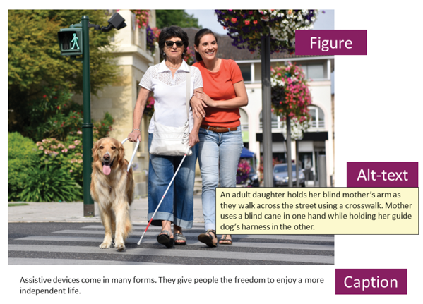 Photo of blind person in white shirt and blue pants with guide dog, wearing glasses, and holding cane, assisted by young woman in orange shirt and blue pants. Both walking down a street with flowers in the background.