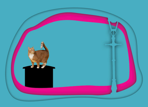 Orange cat on a trash can, with pink ring shape behind cutout of streetlight, all on solid blue background.