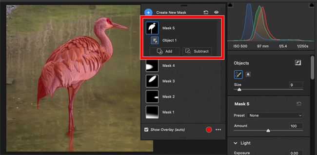 Adobe Camera Raw 2023 Select Object feature