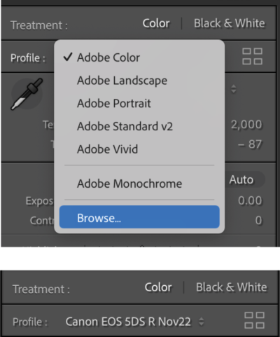 Screenshot of Lightroom panel for Profile offers choices of Adobe Color (selected), Adobe Landscape, Adobe Portrait, Adobe Standard v2, Adobe Vivid, and Adobe Monochrome, with option to browse.