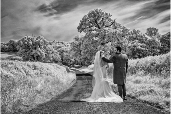 Wedding photo shows bride and groom from behind walking down a path into a wooded area.