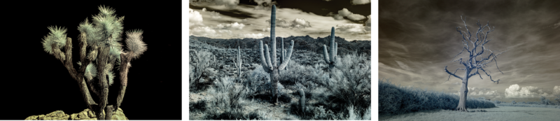 Two color infrared images of desert scenes with grey-brown cast