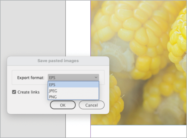 dialog box "save pasted images" shows selection for export format (options: EPS (selected), JPEG, PNG); checkbox for create links (checked)