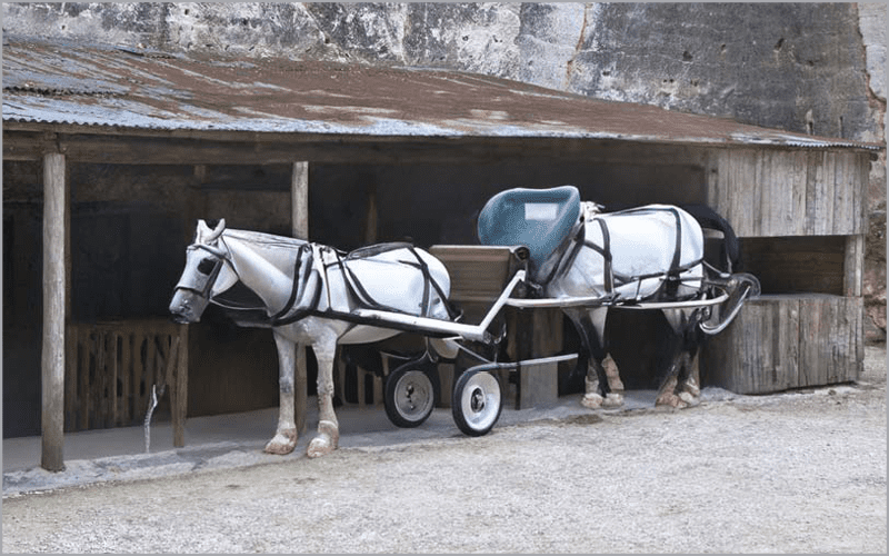 Figure 28. Oops! There are somewhat bizarre results in this horse and cart version.