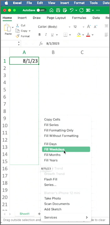 Excel contextual menu for filling cells with days, weekdays, months, or years