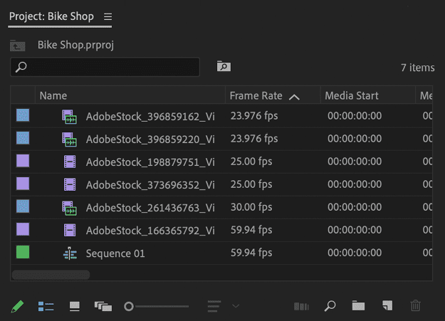 Figure 2. The Project panel shows all files that are linked to your project.