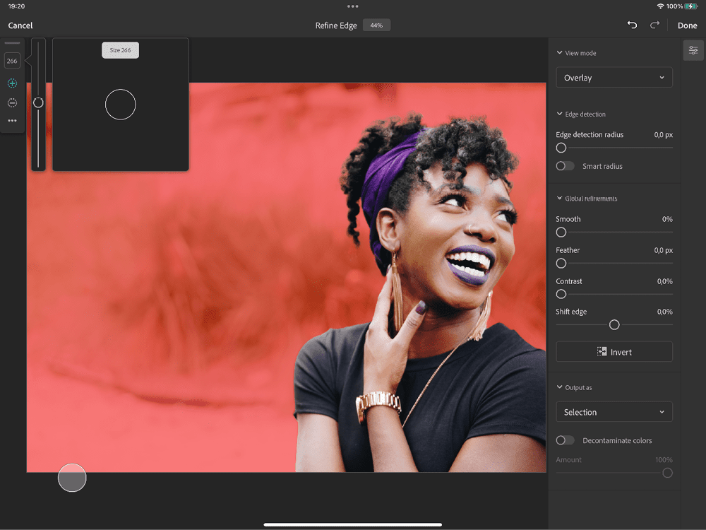 Figure 5. The Refine Edge workspace